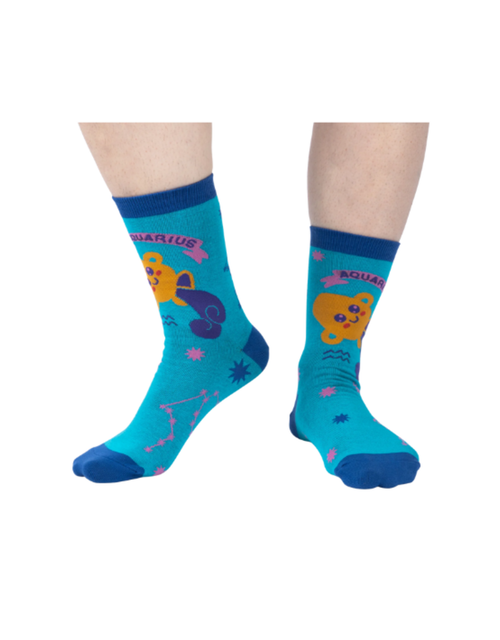 Sock It To Me Sock It To Me - Aquarius Greeting Card with Socks