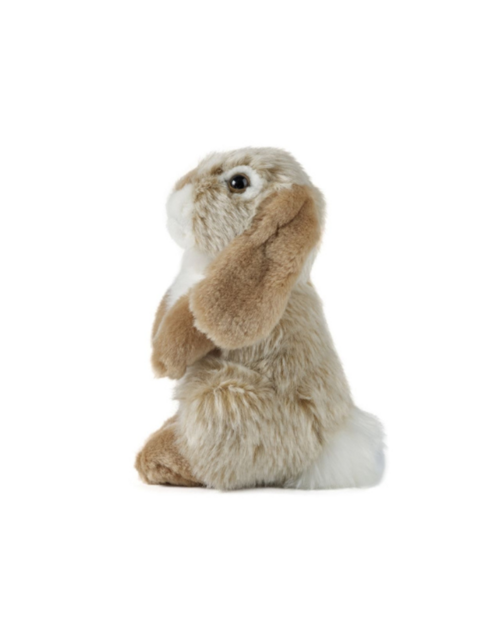 Living Nature Living Nature - Sitting Brown Lop Eared Rabbit