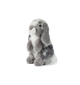Living Nature Sitting Grey Lop Eared Rabbit