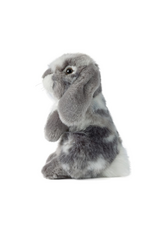 Living Nature Living Nature - Sitting Grey Lop Eared Rabbit