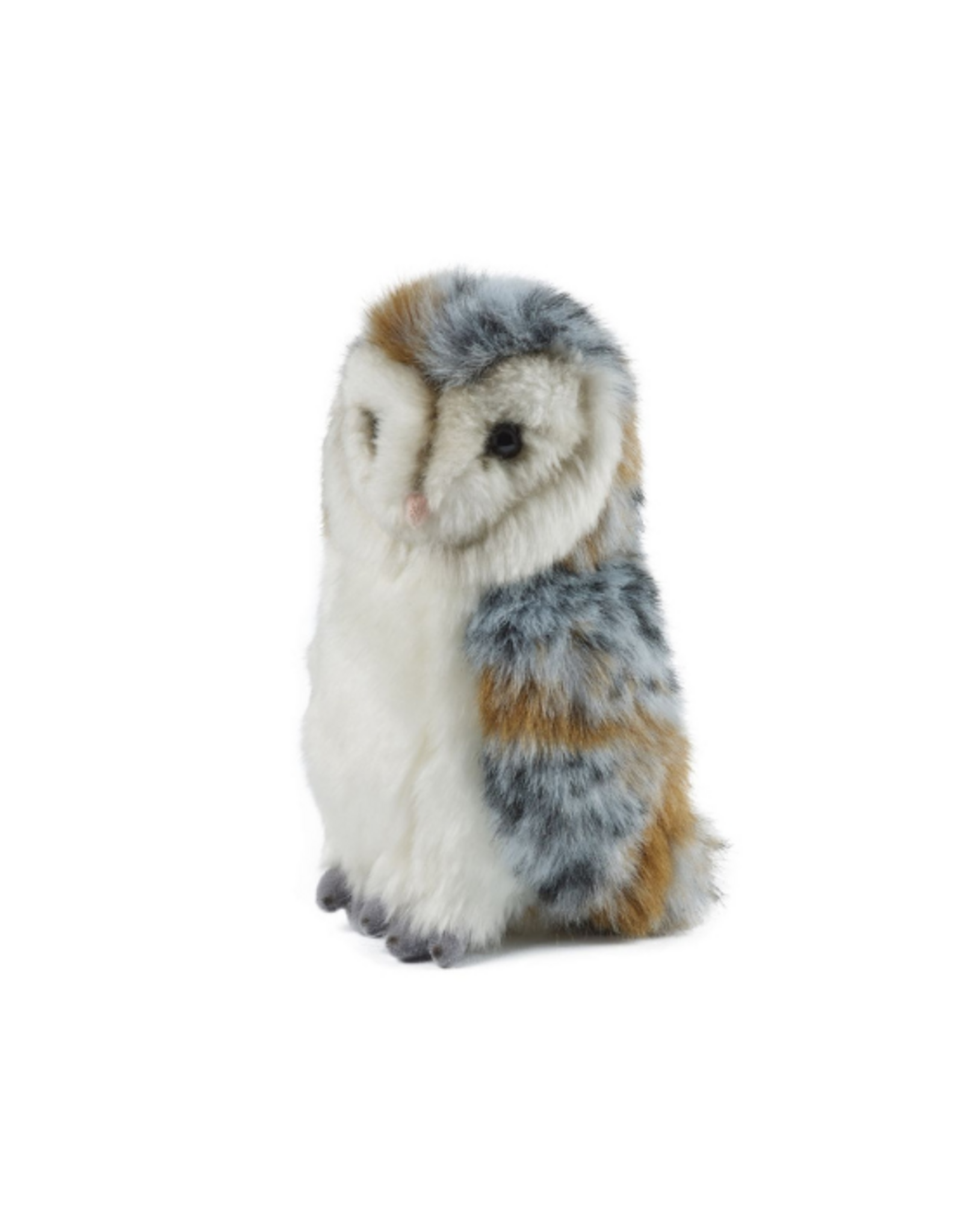 Living Nature Living Nature - Barn Owl