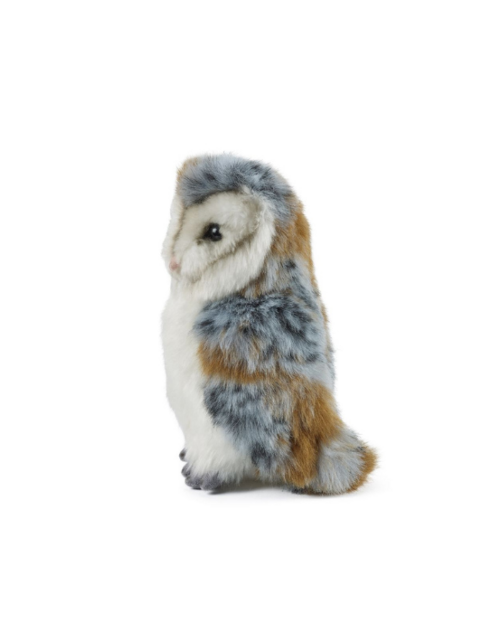 Living Nature Living Nature - Barn Owl