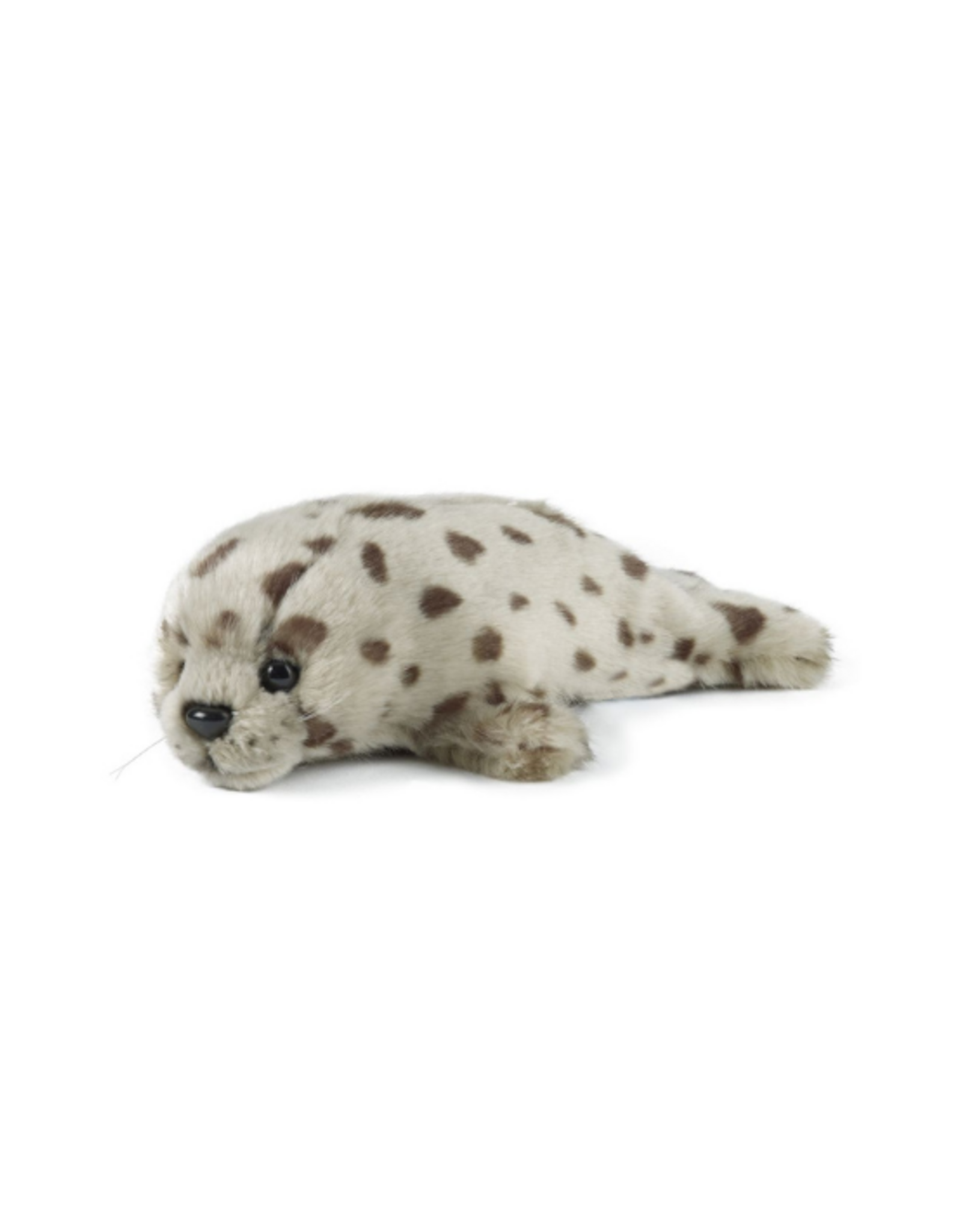 Living Nature Living Nature - Common Seal Pup