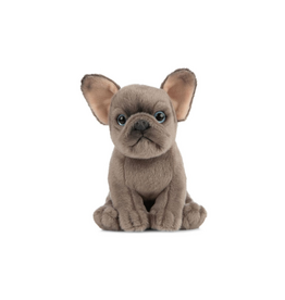 Living Nature French Bulldog Puppy
