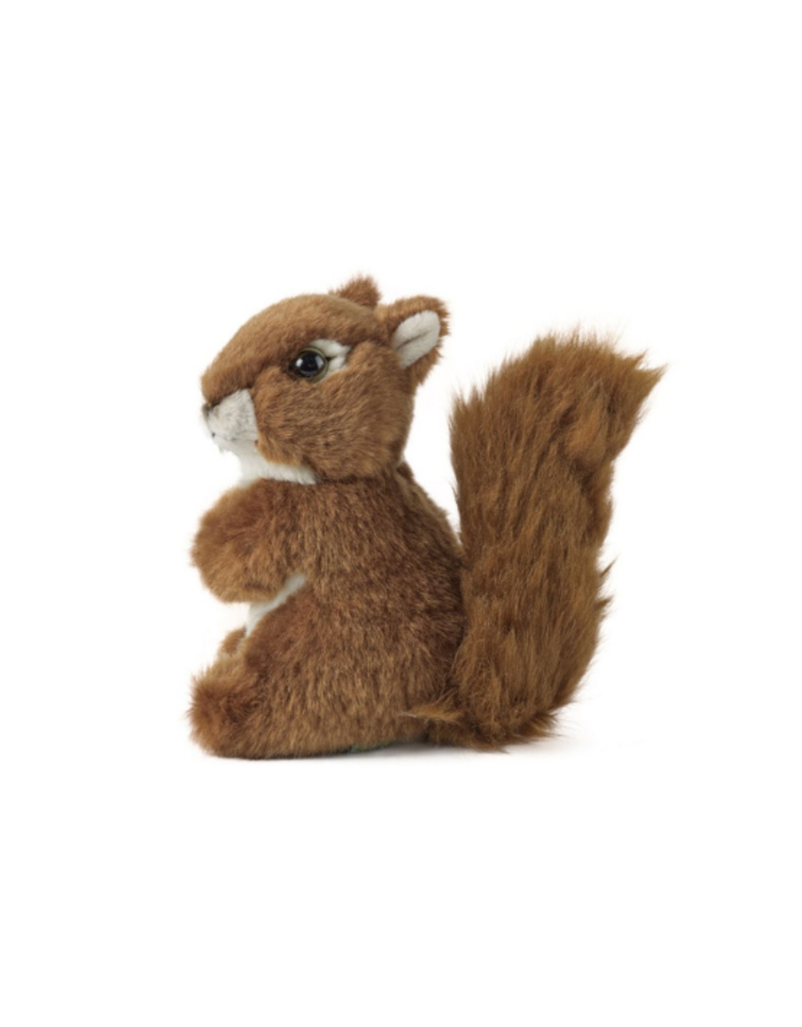 Living Nature Living Nature - Squirrel