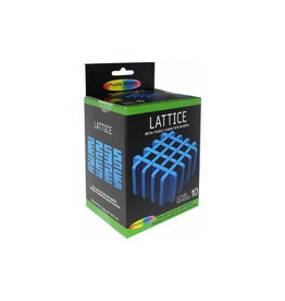 Puzzle Master Lattice Metal Puzzle