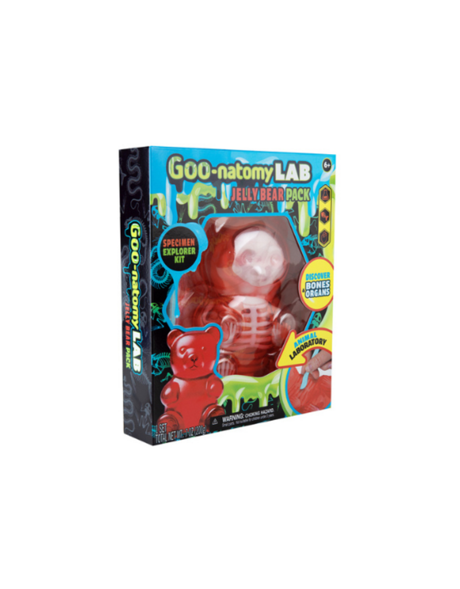 ORB ORB - Goo-natomy Lab Jelly Bear