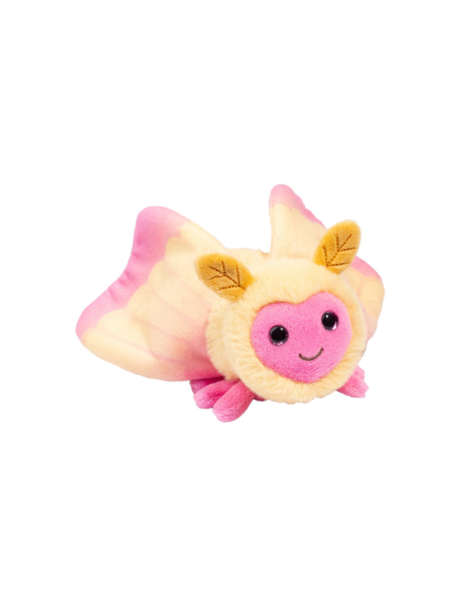 Douglas Douglas - Rosy Maple Moth