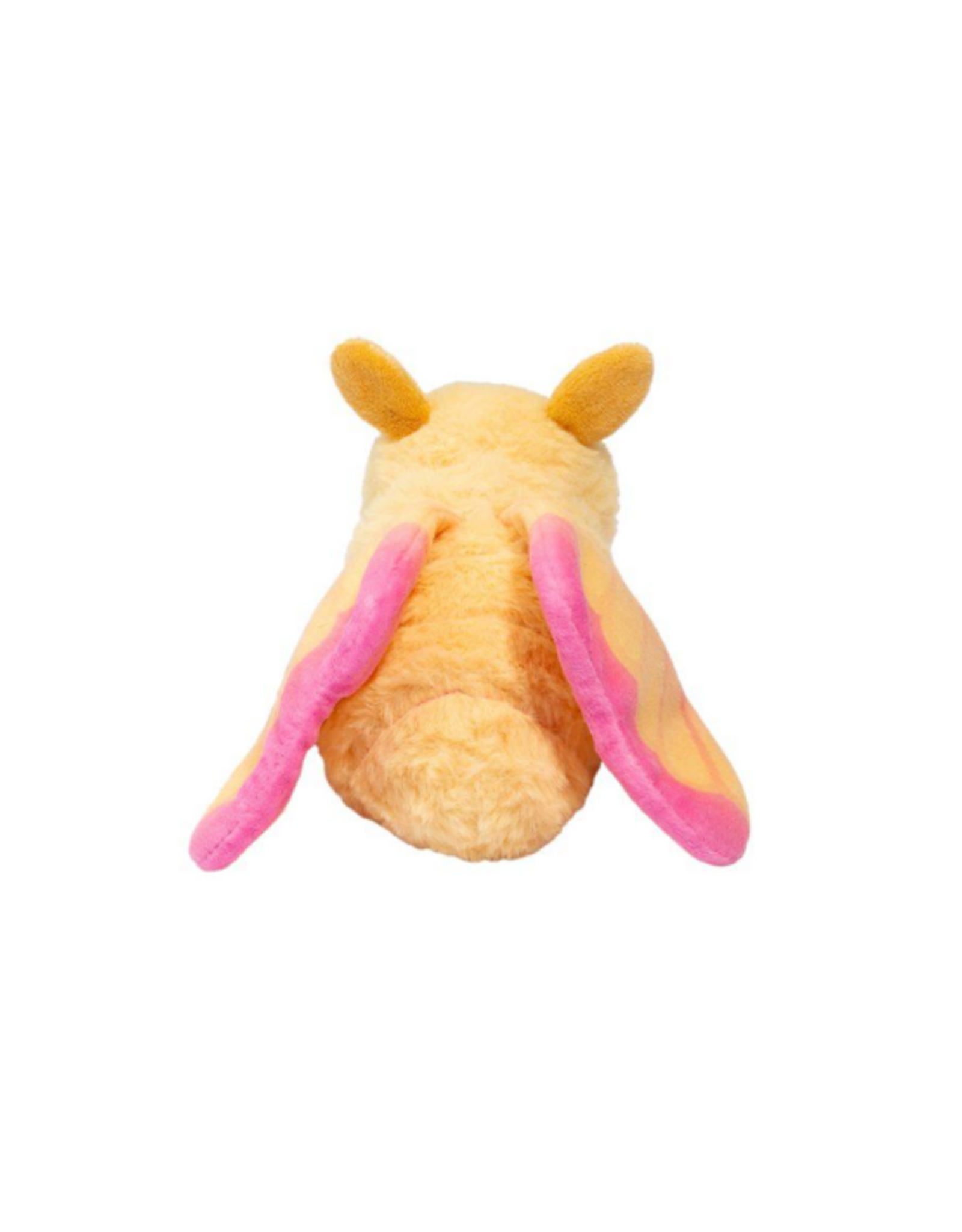 Douglas Douglas - Rosy Maple Moth