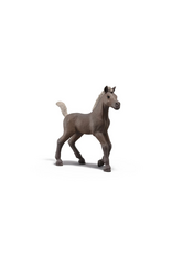 Schleich Schleich - Horse Club - 81460 - Darcy