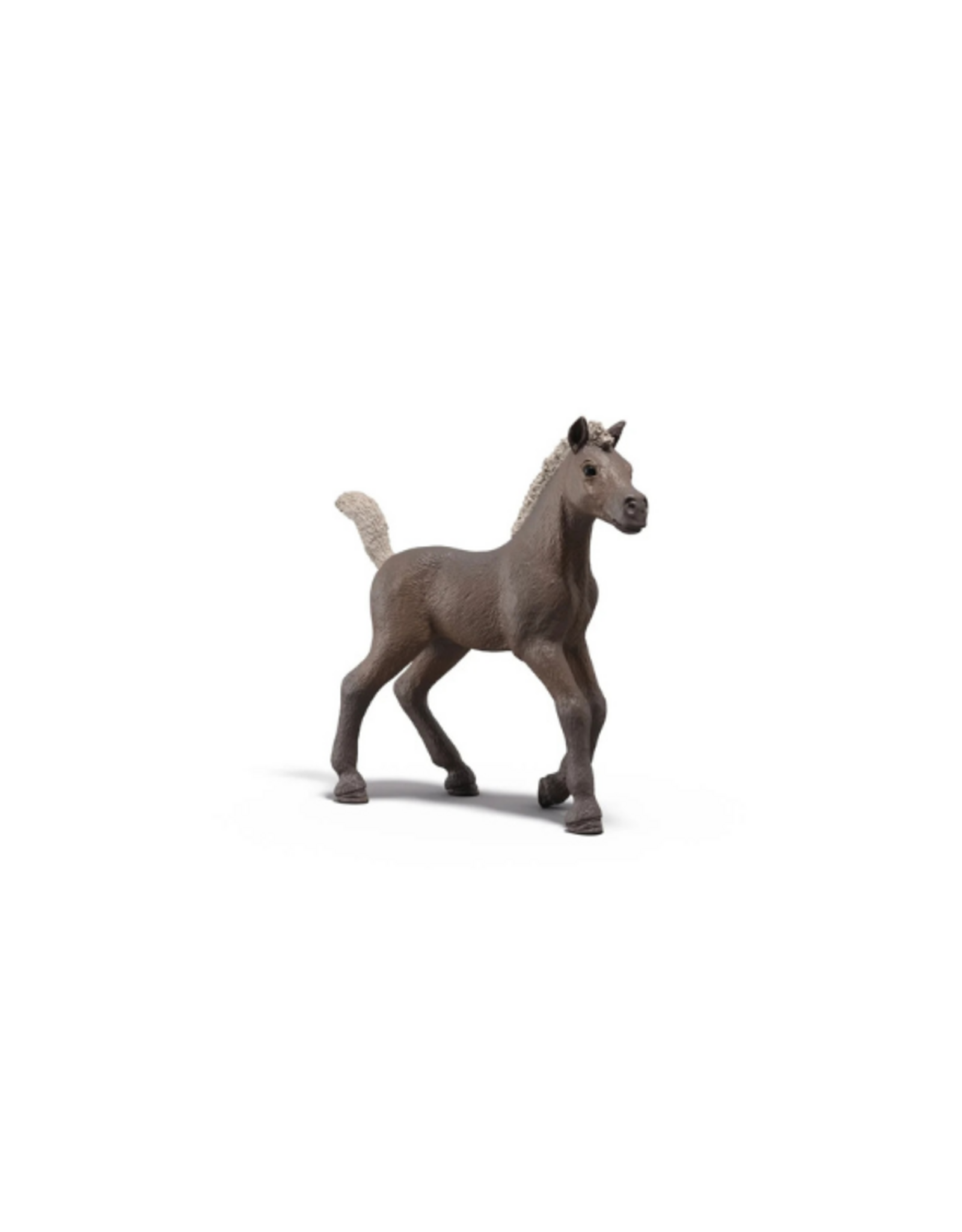 Schleich Schleich - Horse Club - 81460 - Darcy