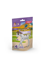 Schleich Schleich - Horse Club - 81459 - Dipper