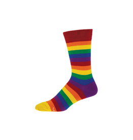 Socksmith Pride Stripes L/XL
