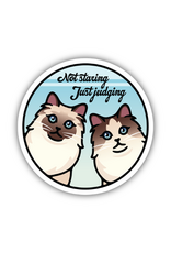 Stickers Northwest Inc. Stickers Northwest - Not Staring Just Judging Cats Sticker