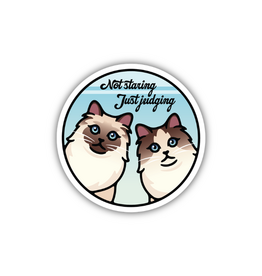 Stickers Northwest Inc. Not Staring Just Judging Cats Sticker