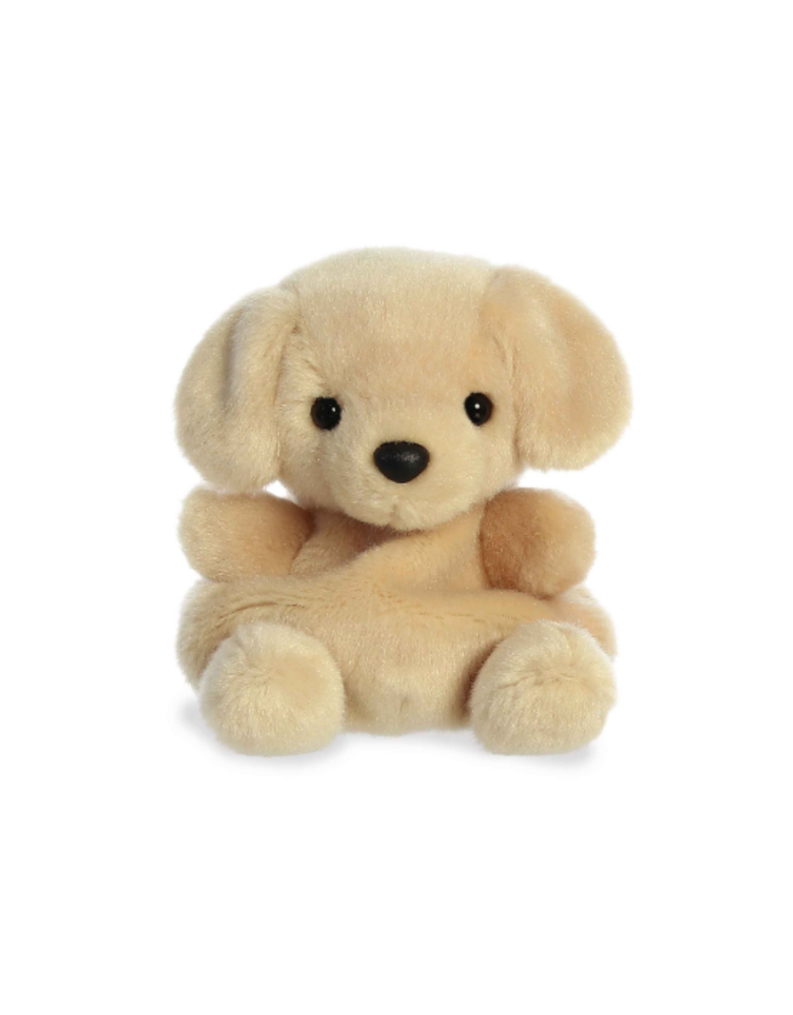 Aurora Aurora - Palm Pals Sunny Lab