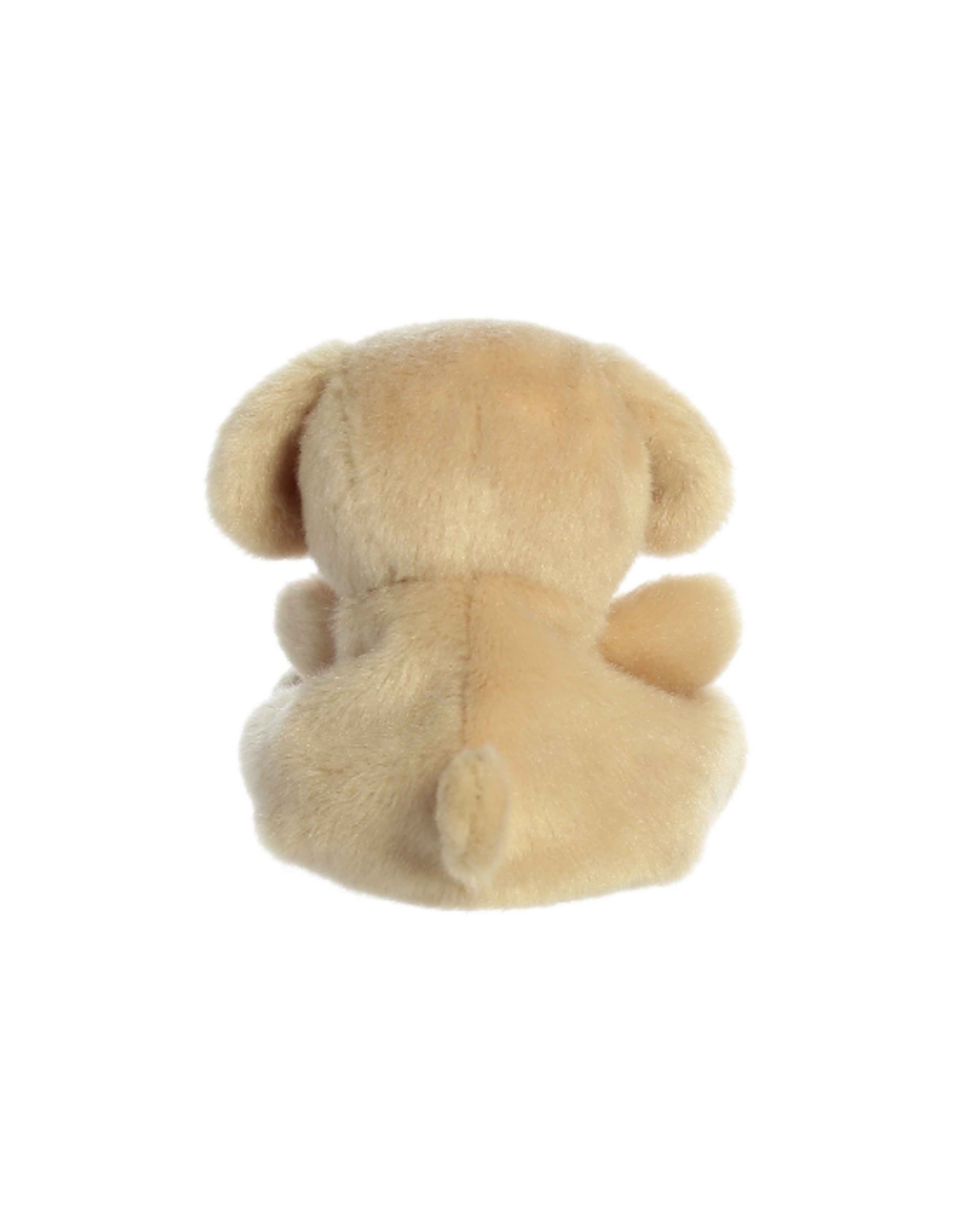 Aurora Aurora - Palm Pals Sunny Lab