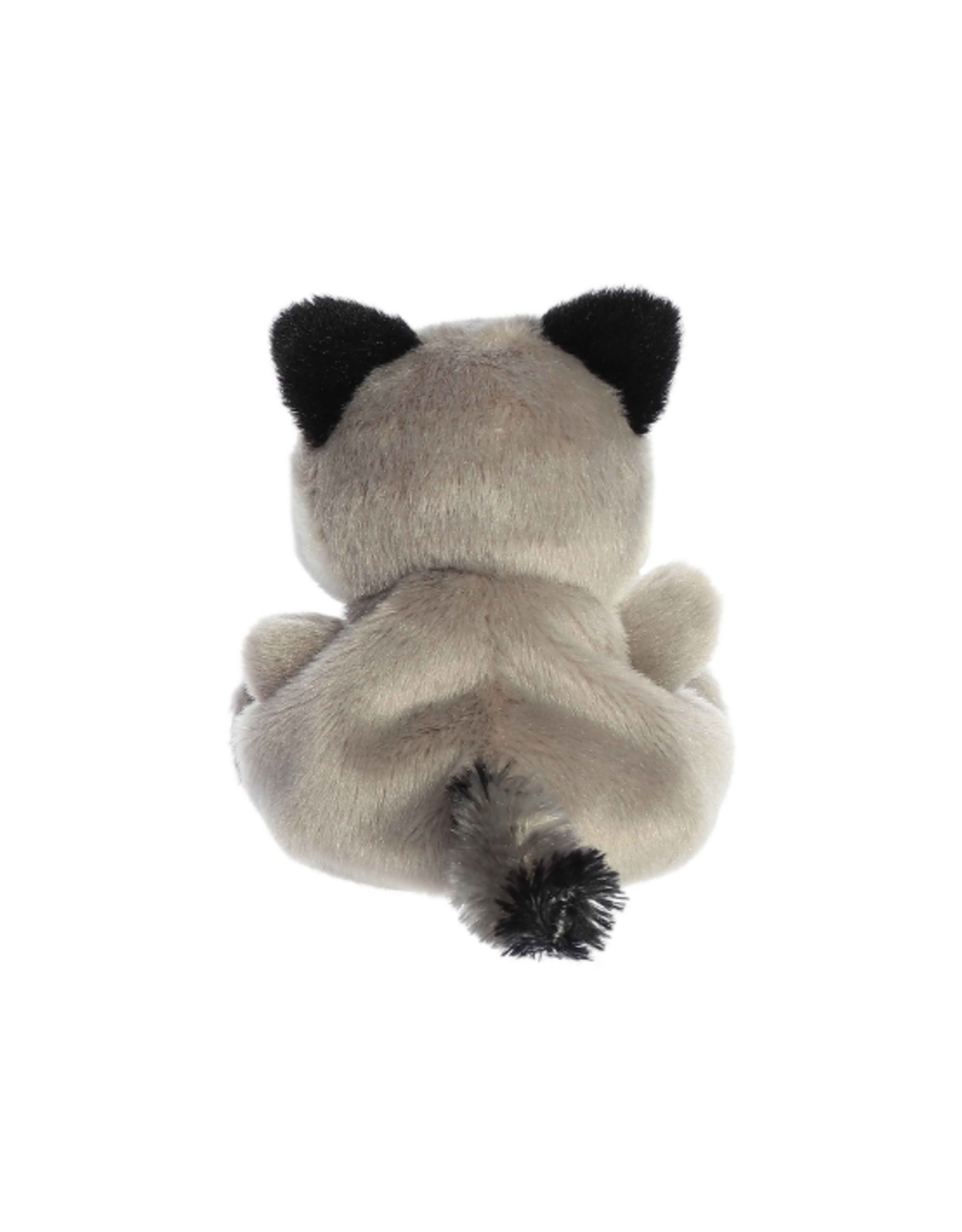 Aurora Aurora - Palm Pals Rascal Raccoon