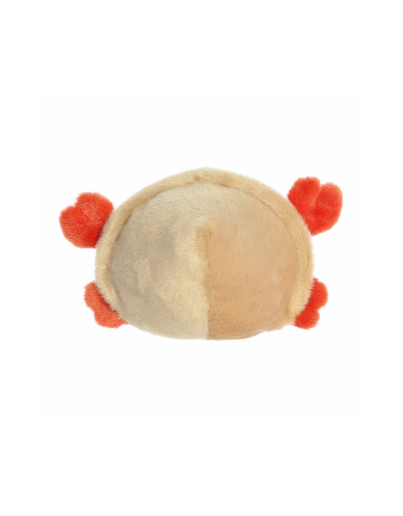 Aurora Aurora - Palm Pals Tide Hermit Crab