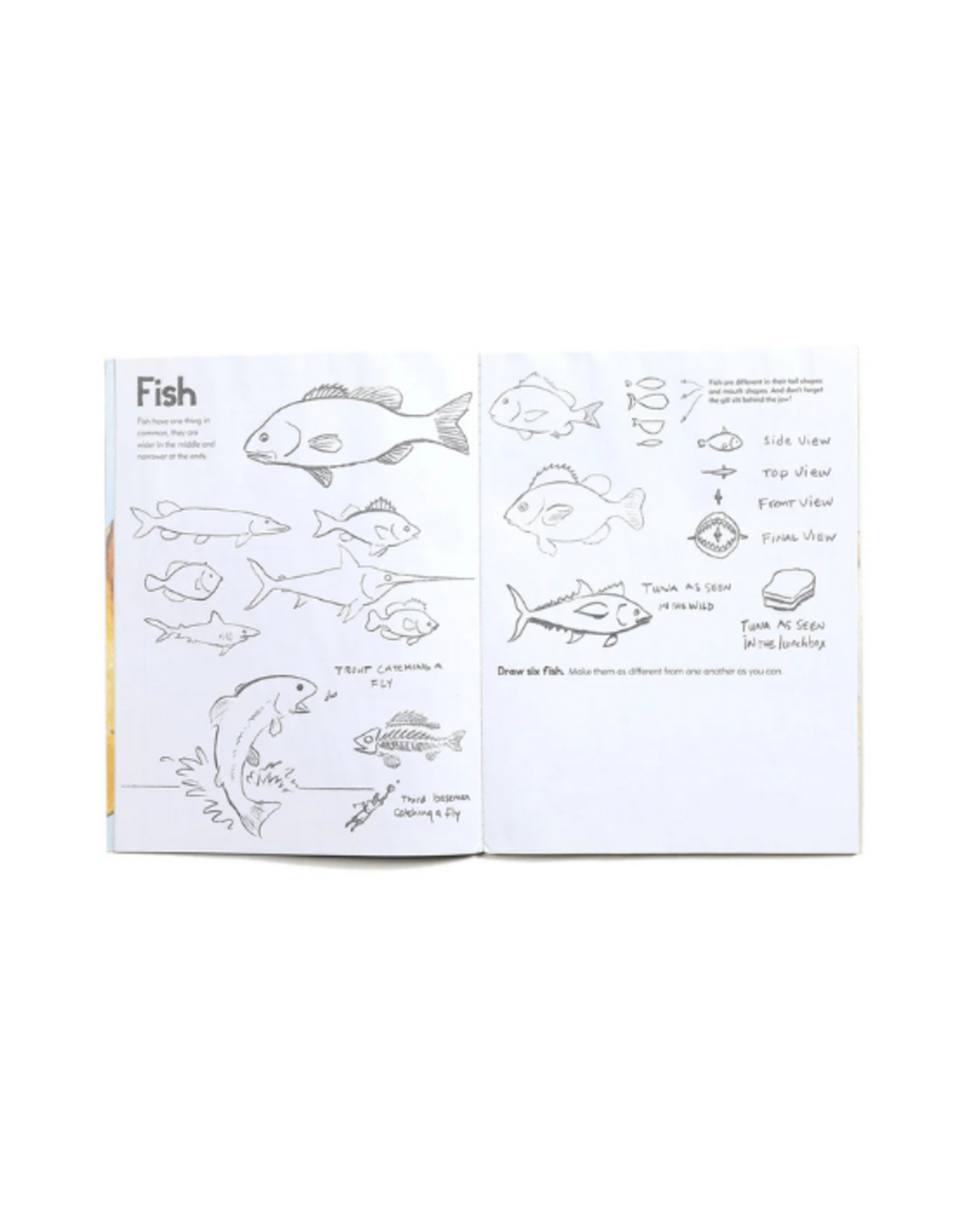 eeBoo eeBoo - Learn to Draw Animals