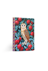 eeBoo eeBoo - Barn Owl Journal