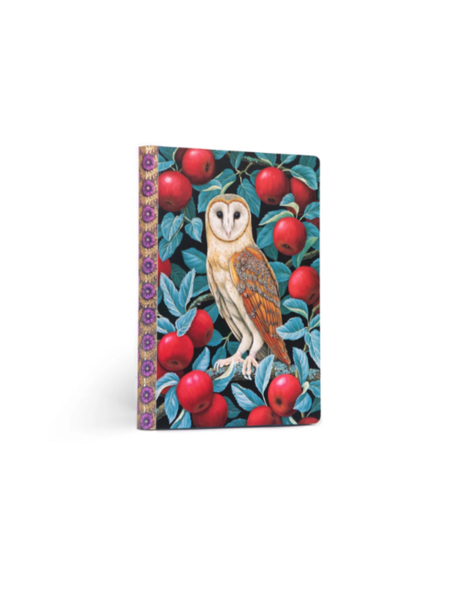 eeBoo eeBoo - Barn Owl Journal
