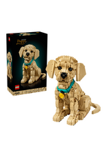 Lego Lego - Icons - 11384 - Golden Retriever Puppy