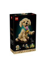Lego Lego - Icons - 11384 - Golden Retriever Puppy