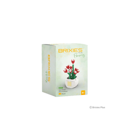 Brixies Brixies Plus Mini Blume "Asia Dream"
