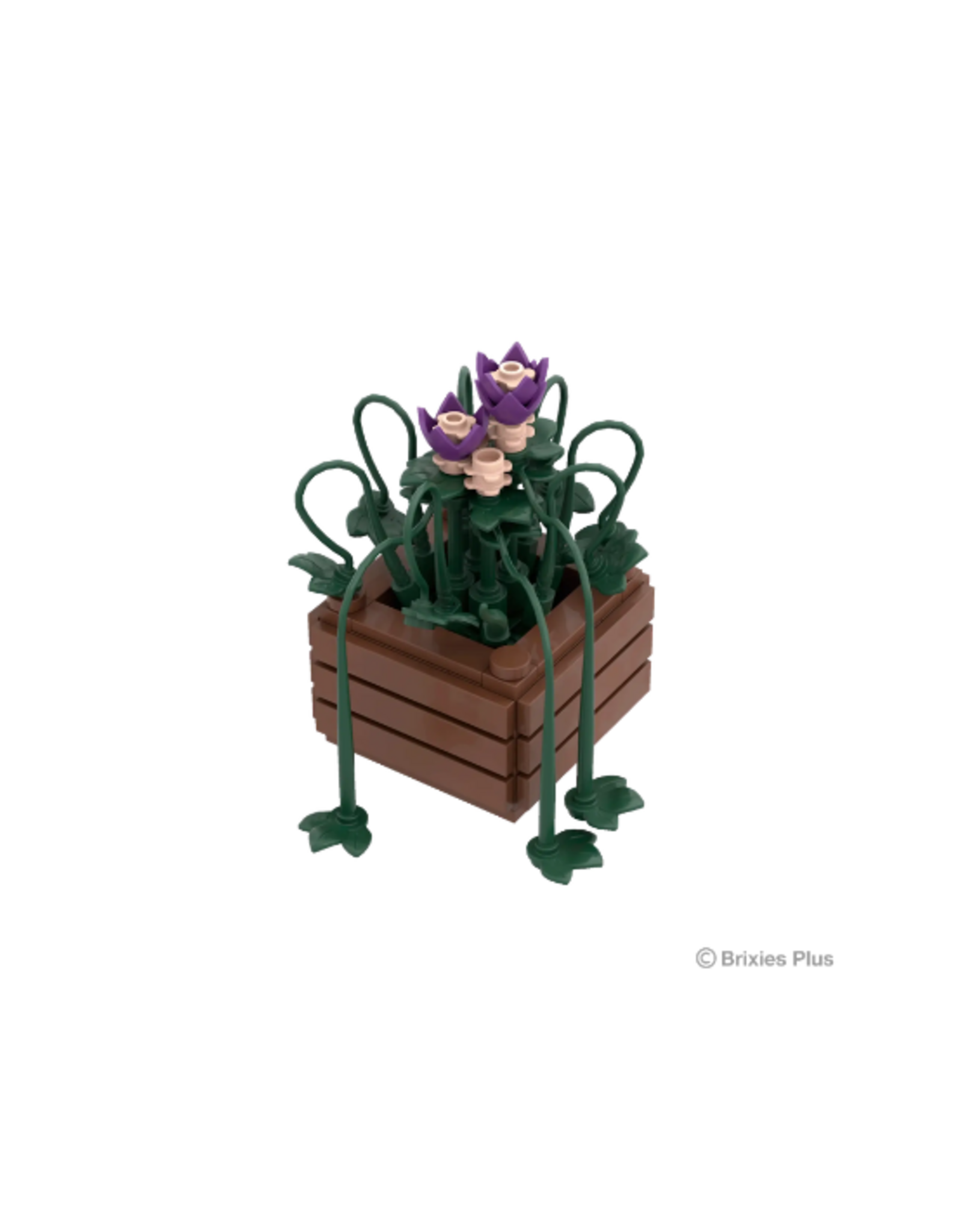 Brixies Brixies - Plus Mini Blume "Royal Blossom"