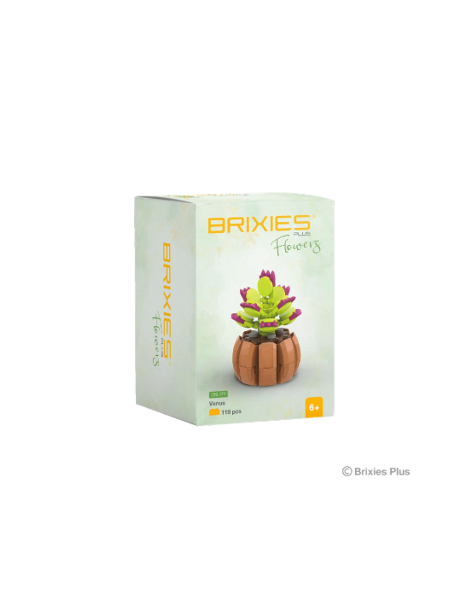 Brixies Brixies - Plus Mini Blume "Venus"