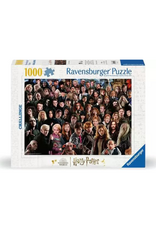 Ravensburger Ravensburger - 1000pcs - Harry Potter Challenge
