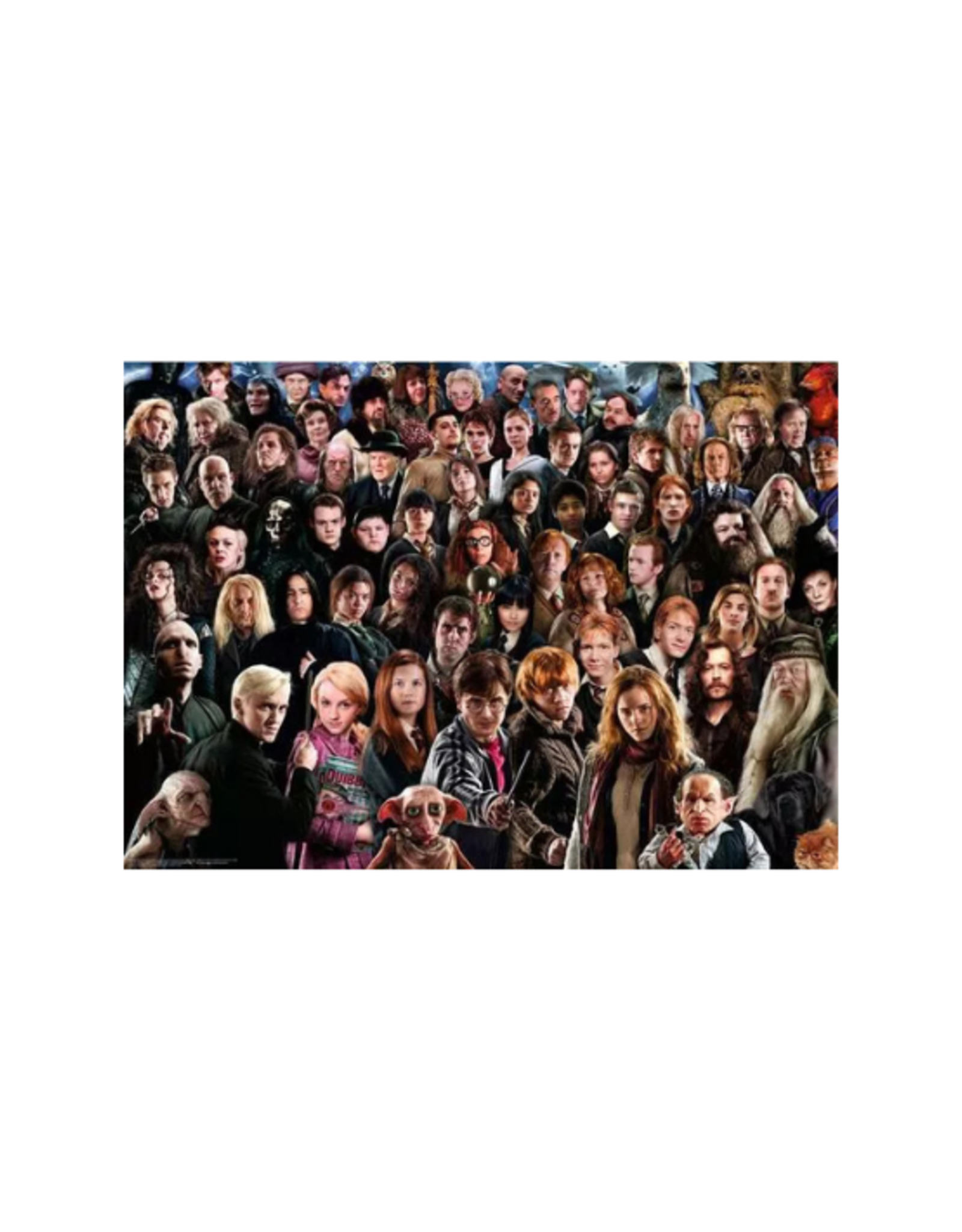 Ravensburger Ravensburger - 1000pcs - Harry Potter Challenge