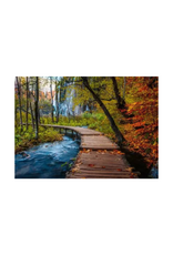 Ravensburger Ravensburger - 1000pcs - Autumnal Forest Path