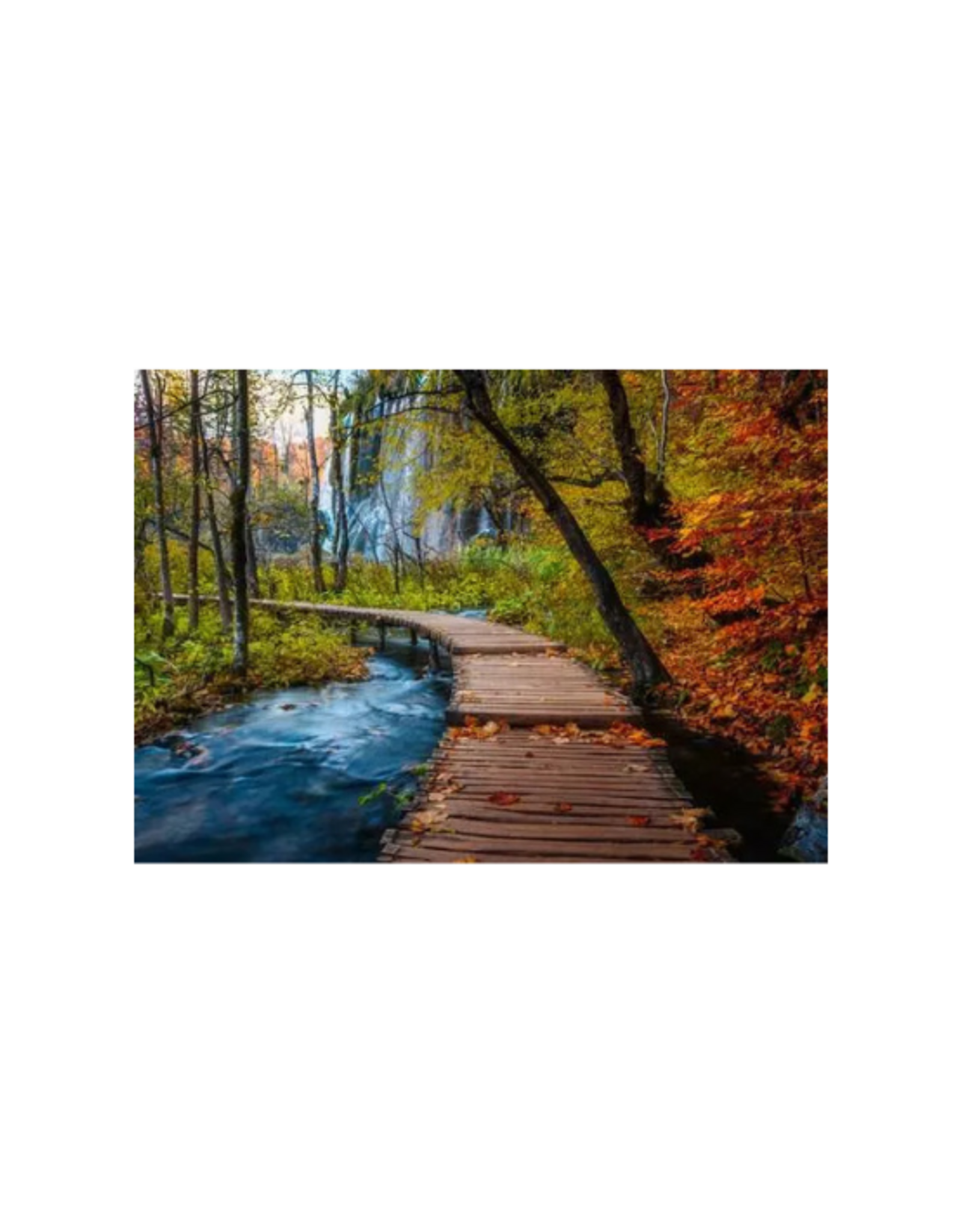 Ravensburger Ravensburger - 1000pcs - Autumnal Forest Path