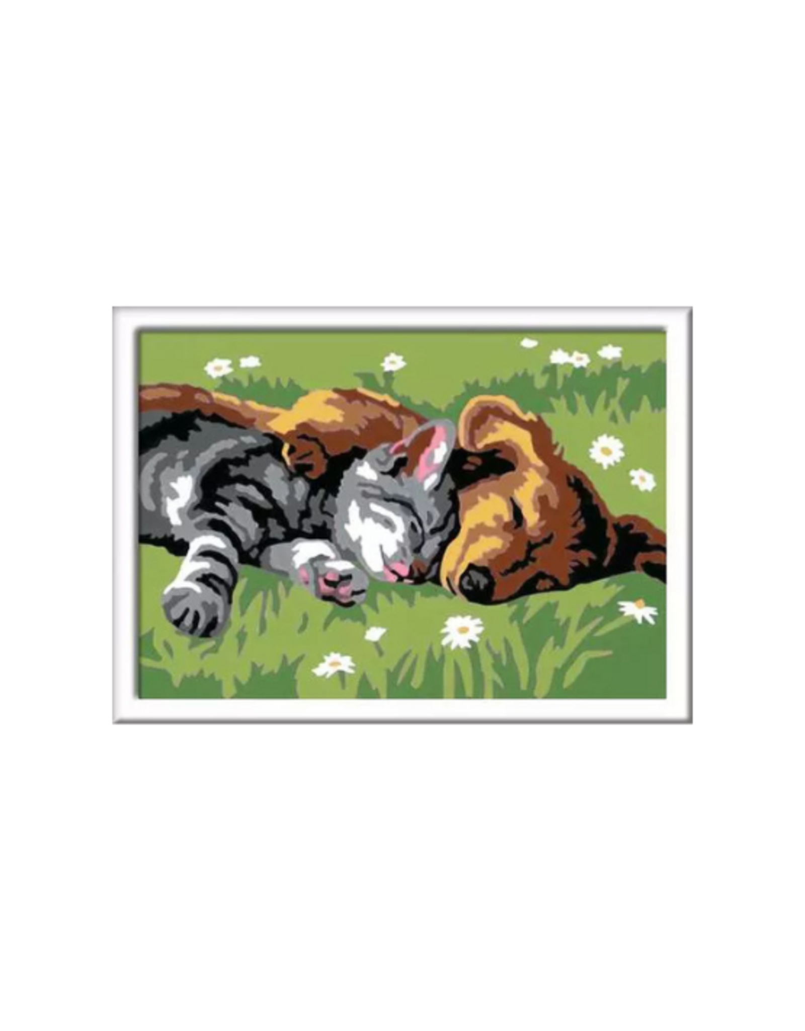 Ravensburger Ravensburger - CreArt  Sleeping Cat and Dog
