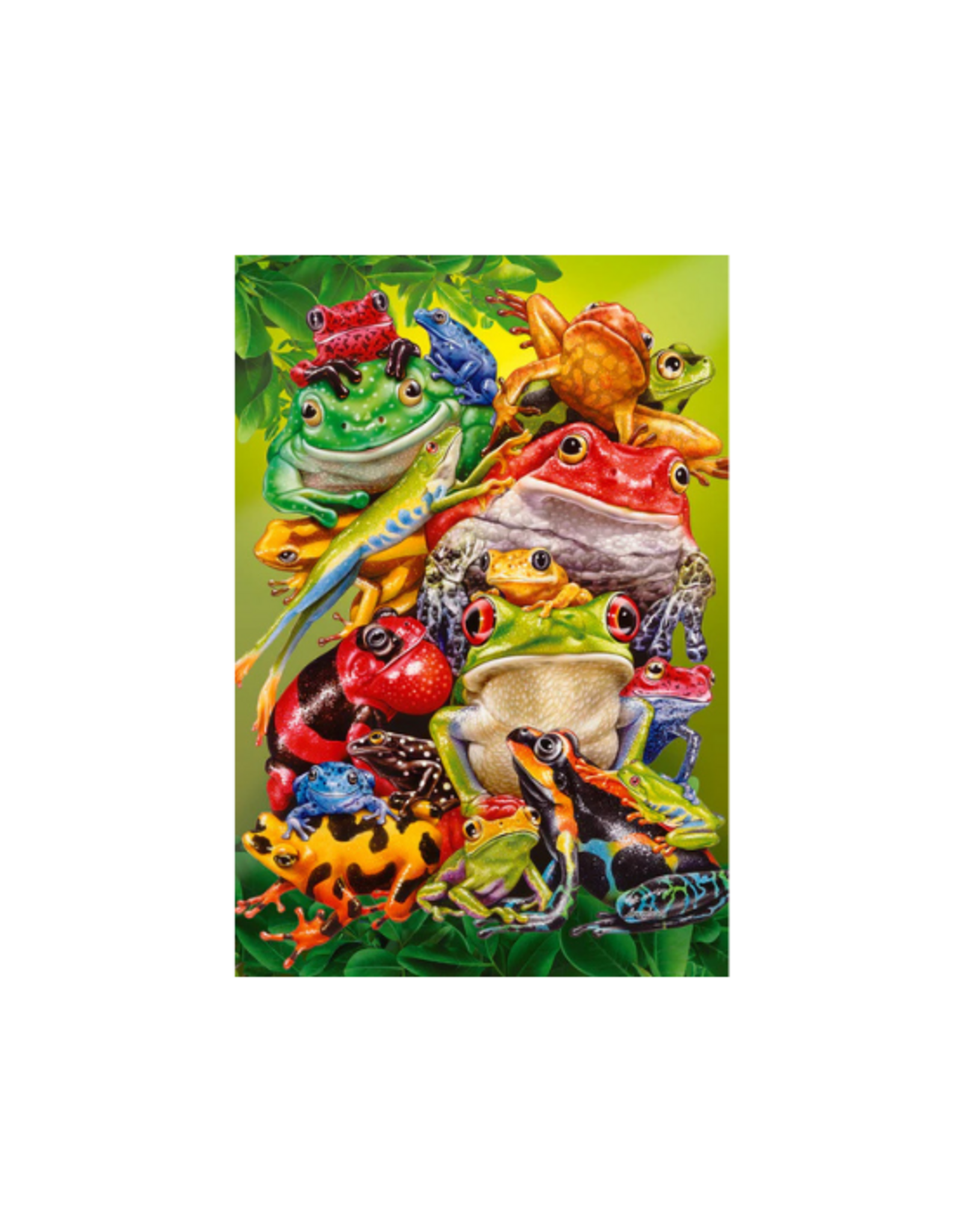 Cobble Hill Cobble Hill - 100pcs - Frog Business