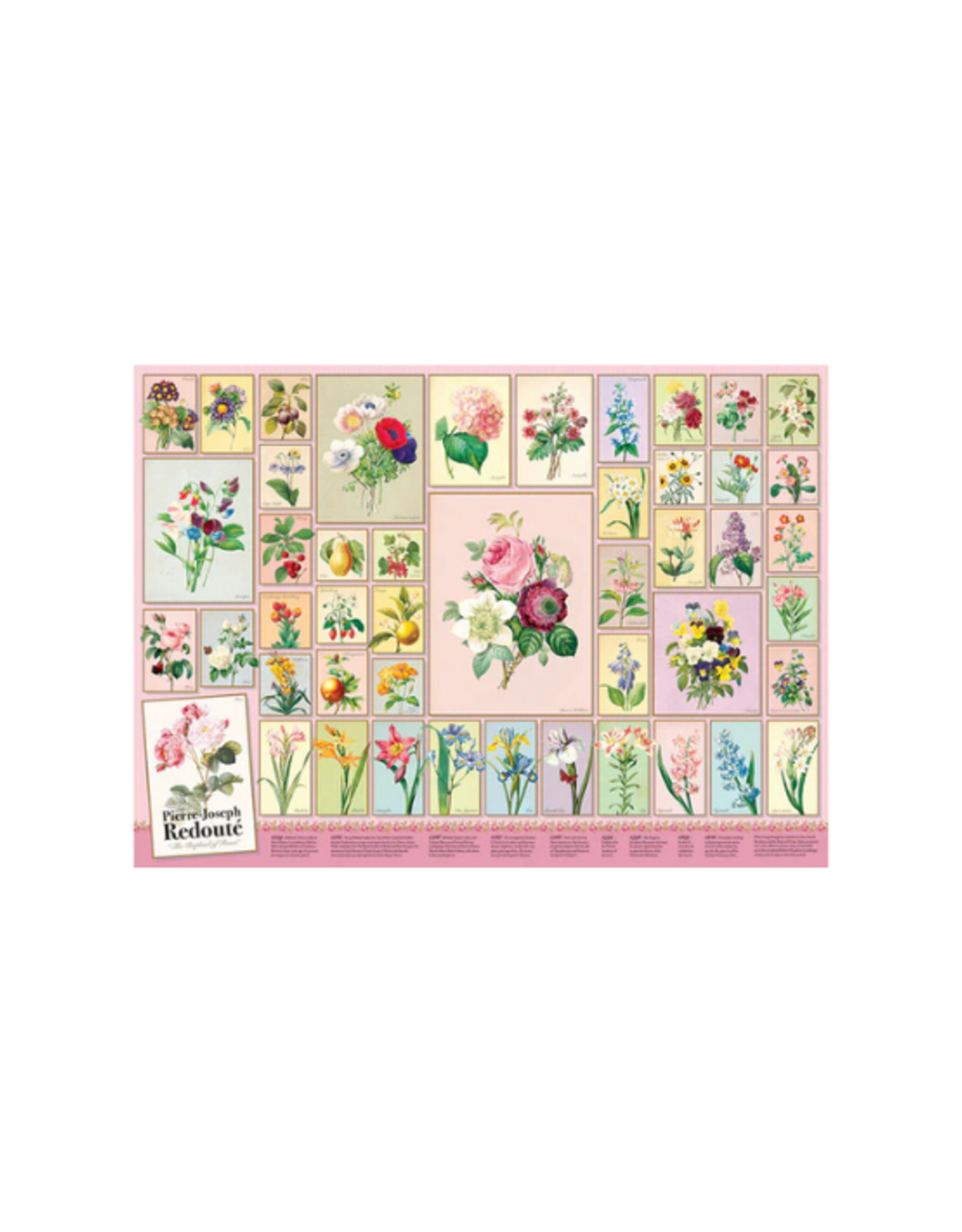 Cobble Hill Cobble Hill - 1000pcs - Redoute