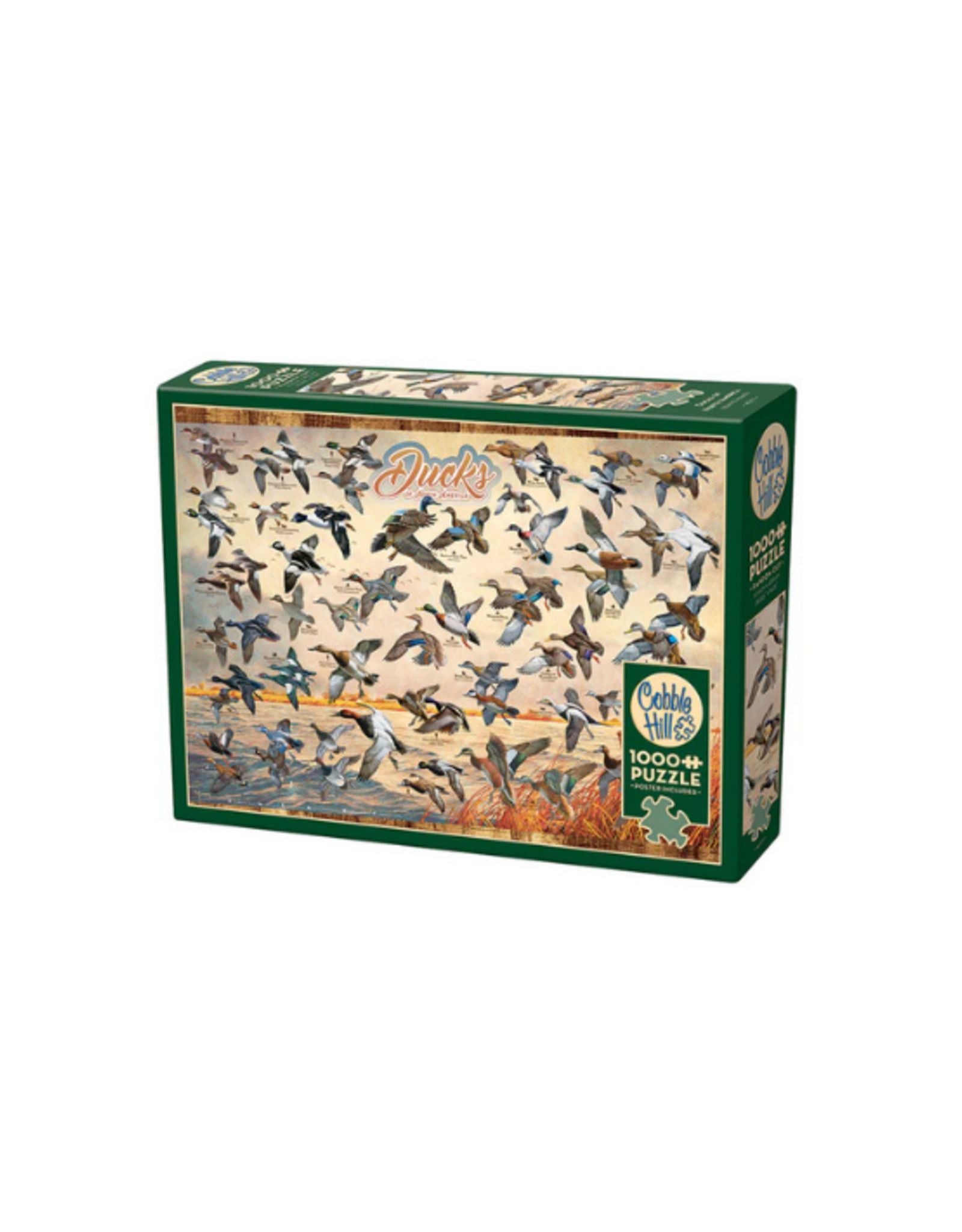 Cobble Hill Cobble Hill - 1000pcs - Ducks of North America
