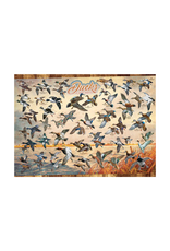 Cobble Hill Cobble Hill - 1000pcs - Ducks of North America