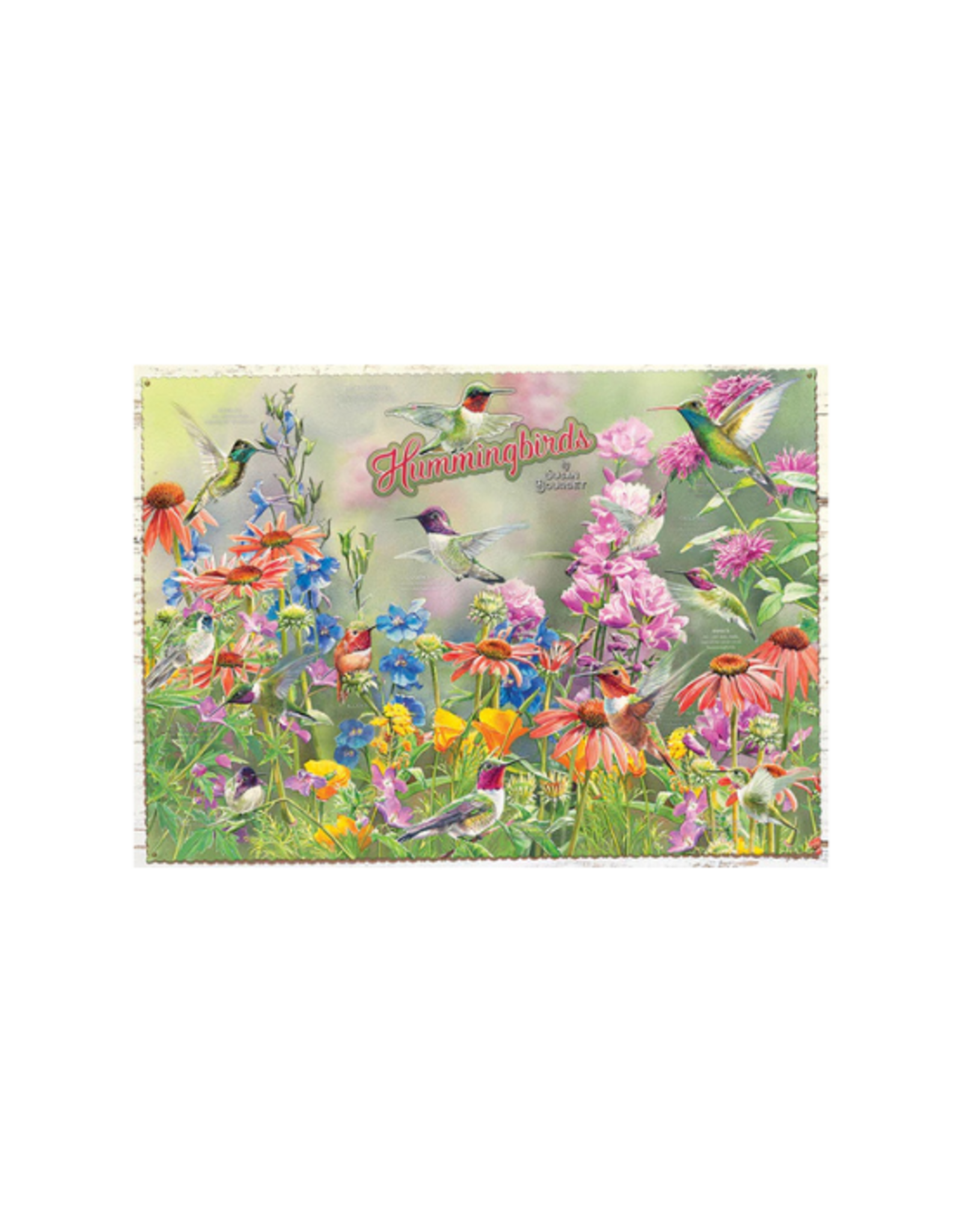 Cobble Hill Cobble Hill - 1000pcs - Hummingbirds