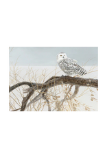 Cobble Hill Cobble Hill - 500pcs - Fallen Willow - Snowy Owl