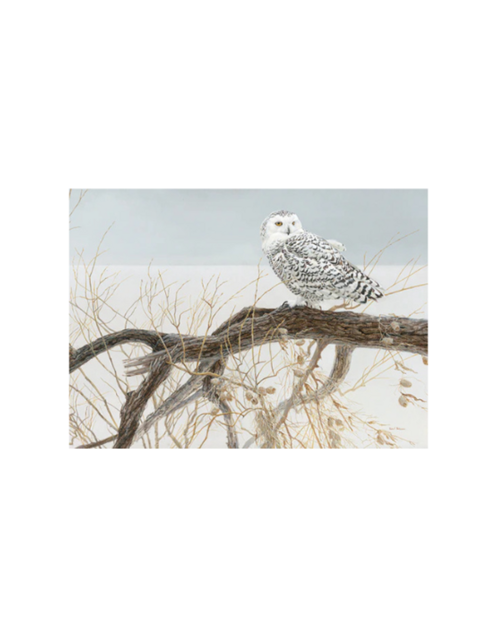 Cobble Hill Cobble Hill - 500pcs - Fallen Willow - Snowy Owl