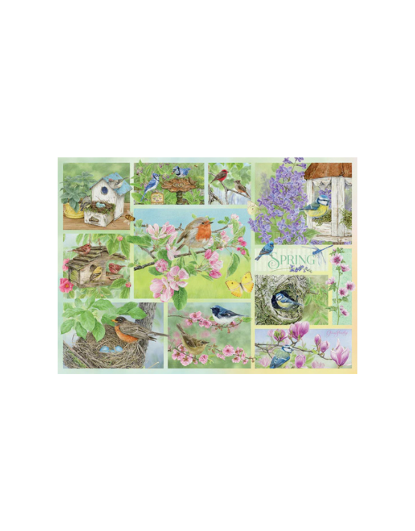 Cobble Hill Cobble Hill - 500pcs - Garden Birds in Spring