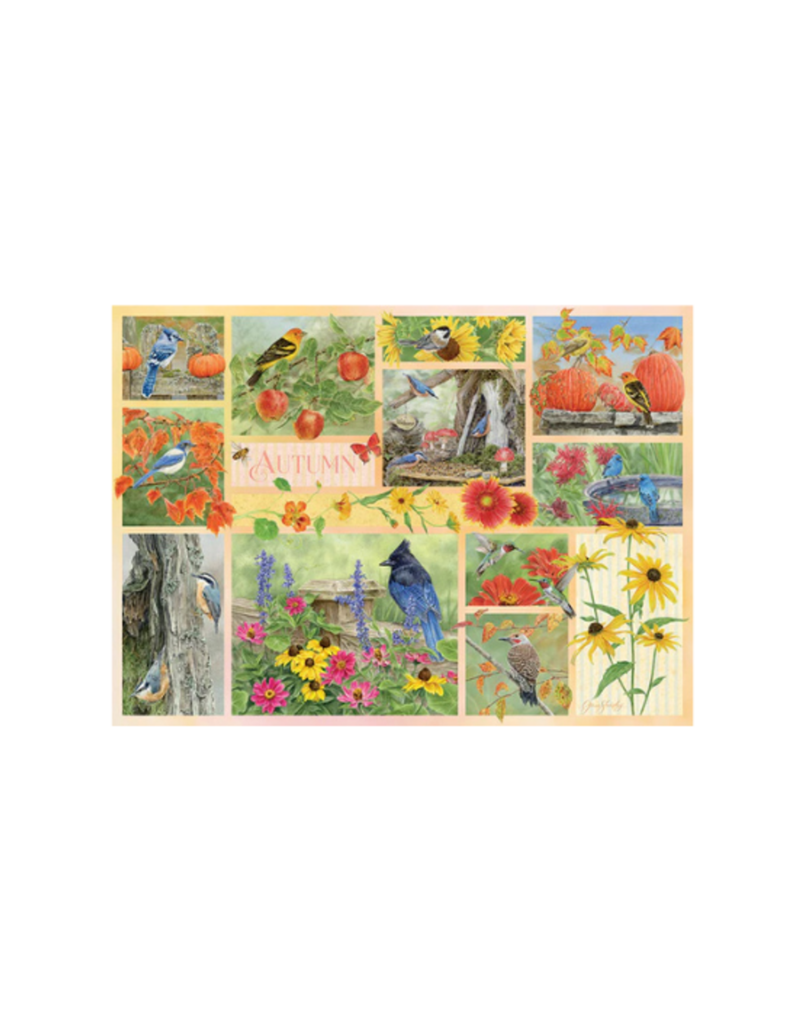 Cobble Hill Cobble Hill - 500pcs - Garden Birds in Autumn