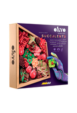 Okto Okto - Wood & Craft Succulents Passion