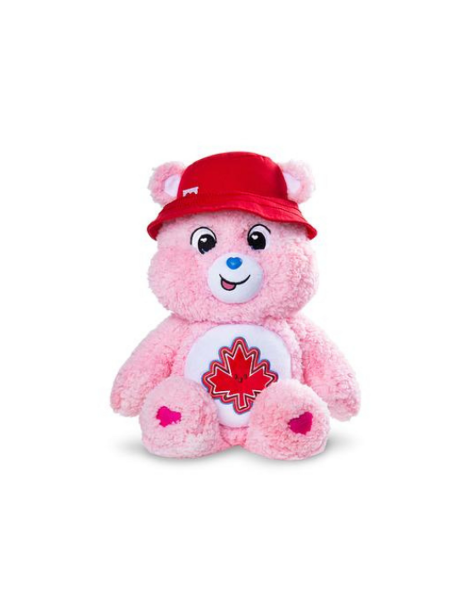 Care Bears - 14" True North Bear