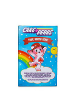 Care Bears - 14" True North Bear