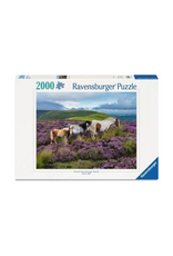 Ravensburger Ravensburger - 2000pcs - Wild Horses in the Heather
