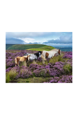Ravensburger Ravensburger - 2000pcs - Wild Horses in the Heather